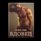 Книга Вдовец (СИ)