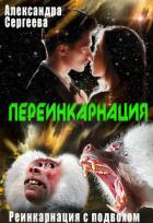 Книга Переинкарнация (СИ)