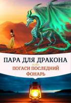 Книга Пара для дракона, или погаси последний фонарь (СИ)