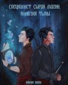 Книга Специалист сырой магии. Иллюзия тьмы (СИ)