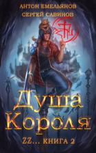Книга ZZZZZZZ: Душа короля. Книга 2