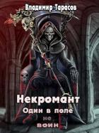 Книга Один в поле не воин (СИ)