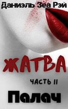 Книга Палач (СИ)
