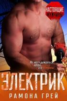 Книга Электрик (ЛП)