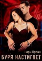 Книга Буря настигнет (СИ)