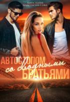 Книга Автостопом со сводными братьями (СИ)