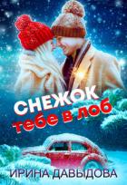 Книга Снежок тебе в лоб (СИ)