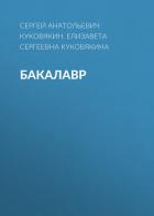 Книга Бакалавр 7 (СИ)