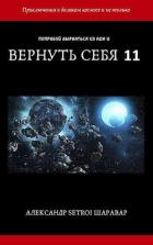 Книга Вернуть себя. Том 11 (СИ)