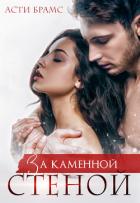 Книга За каменной стеной
