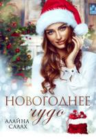 Книга Новогоднее чудо