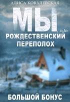 Книга Мы, или Рождественский переполох (СИ)