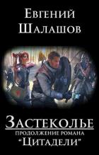 Книга Застеколье (СИ)
