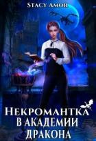 Книга Некромантка в академии дракона (СИ)