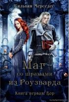 Книга Вор (ЛП)