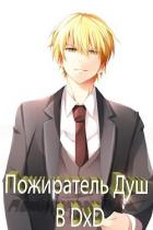 Книга Пожиратель Душ в DxD (СИ)