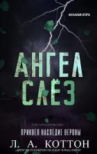 Книга Ангел слёз (ЛП)