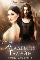 Книга Академия Галэйн. Душа дракона