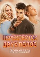 Книга Перекресток двух полос