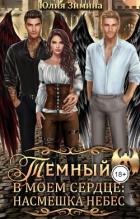 Книга Темный в моем сердце: Насмешка небес (СИ)