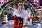 Книга И.о. Деда Мороза (СИ)