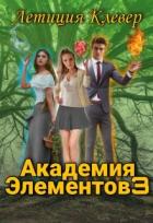 Книга Академия Элементов 3 (СИ)