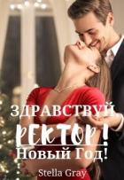 Книга Здравствуй, ректор! Новый год! (СИ)