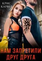 Книга Нам запретили друг друга (СИ)