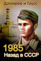 Книга Назад в СССР: 1985 Книга 2 (СИ)