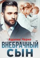 Книга Внебрачный сын