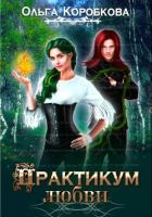 Книга Практикум любви (СИ)