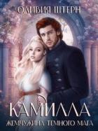 Книга Камилла. Жемчужина темного мага (СИ)