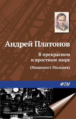 Книга В прекрасном и яростном мире