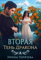 Книга Вторая Тень Дракона (СИ)