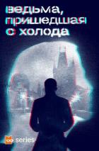 Книга Ведьма, пришедшая с холода (сборник)