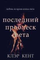 Книга Последний проблеск света (ЛП)