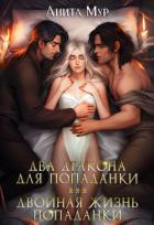 Книга Два дракона для попаданки. Двойная жизнь попаданки (СИ)