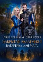 Книга Батарейка для мага