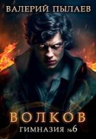 Книга Волков. Гимназия №6 (СИ)