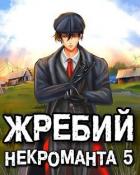 Книга Жребий некроманта 5 (СИ)