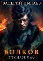 Книга Волков. Гимназия №6