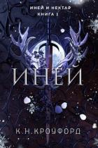 Книга Иней (ЛП)