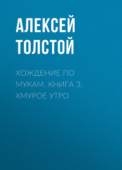 Книга Хмурое утро