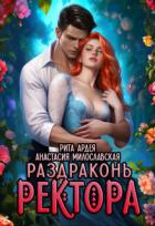 Книга Раздраконь ректора (СИ)