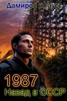 Книга Назад в СССР: 1987 Книга 7 (СИ)