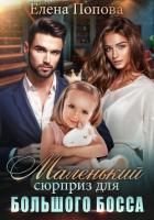 Книга Маленький сюрприз для большого босса
