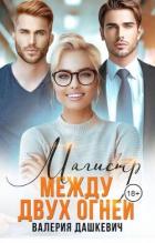 Книга Магистр между двух Огней (СИ)