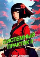 Книга Системный практик II (СИ)