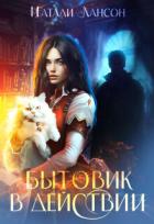 Книга Бытовик в действии (СИ)
