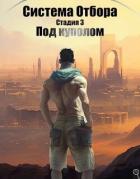 Книга Система Отбора. Стадия 3. Под куполом (СИ)